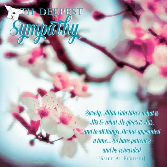 The Deepest Sympathy Surely Allah Tala Takes What Is His & What He Gives Is His. And To All Things. He Has Appointed A Time So Have Patience And Be Rewarded
