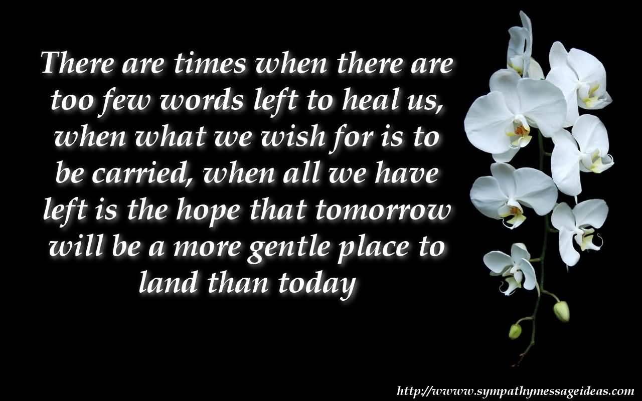 There Are Times When There Are Too Few Words Left To Heal Us, When What We Wish For Is To Be Carried, When All We Have Left Is The Hope That Tomorrow Will Be A More Gentle Place To Land Than Today