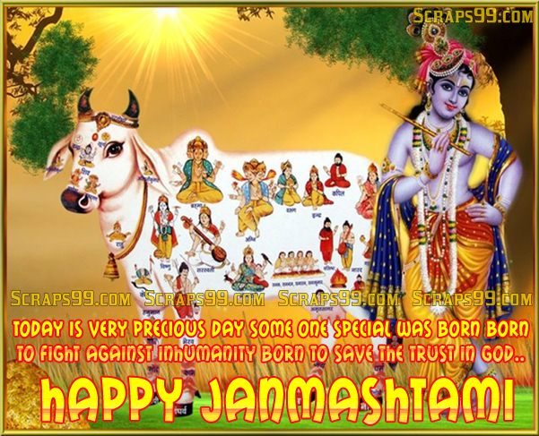 Today Is Very Precious Day Some One Special Was Born, Born To Fight Against Inhumanity Born To Save The Trust In God Happy Janmashtami
