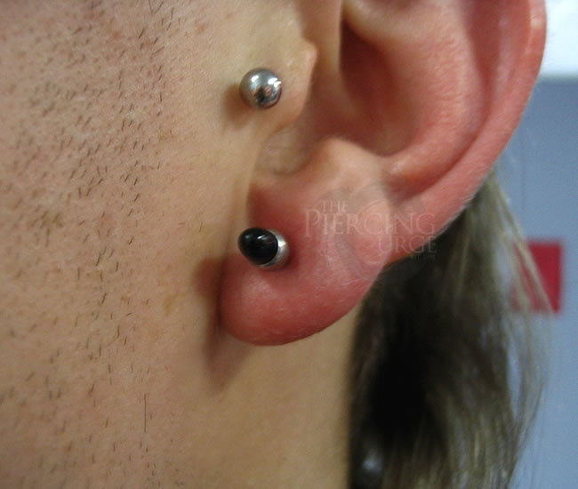 Tragus And Earlobe Piercing With Gauge Stud For Men