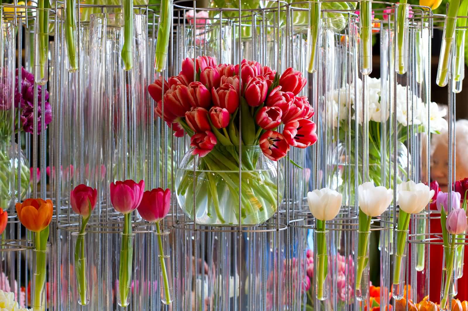 Tulip Flowers In Glass Pot