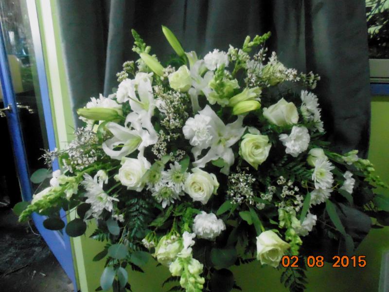 White Rose Flowers Picture