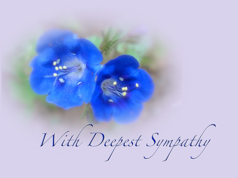 With Deepest Sympathy Blue Flower Picture