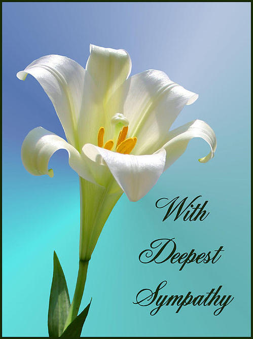 With Deepest Sympathy Card Picture