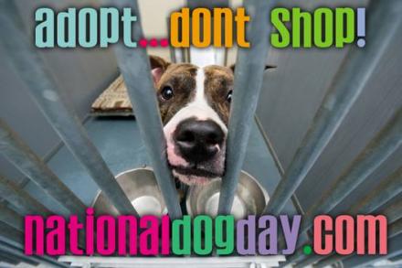 Adopt, Dont Shop National Dog Day