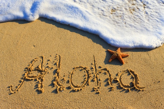 Aloha Beach Sand And Star Fish Picture