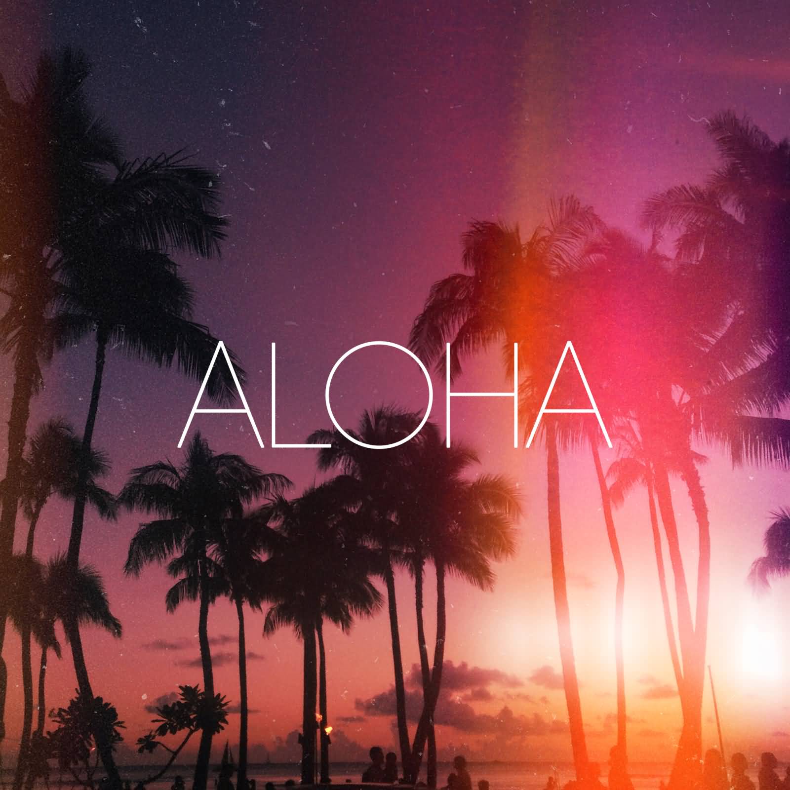 Aloha Beautiful Palm Trees Sunset View Picture