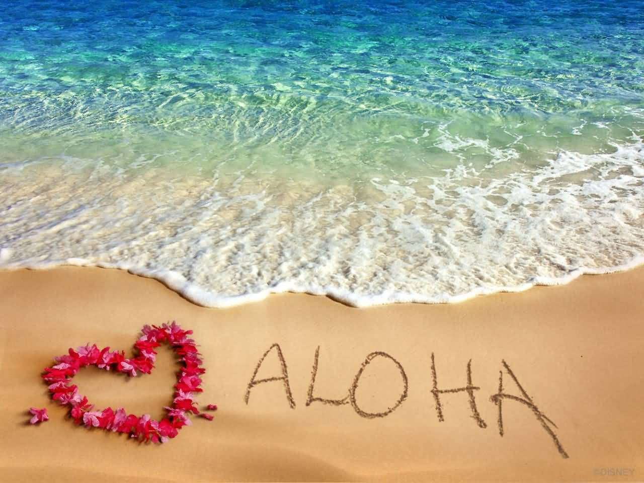Aloha Flowers Heart Beach View Picture