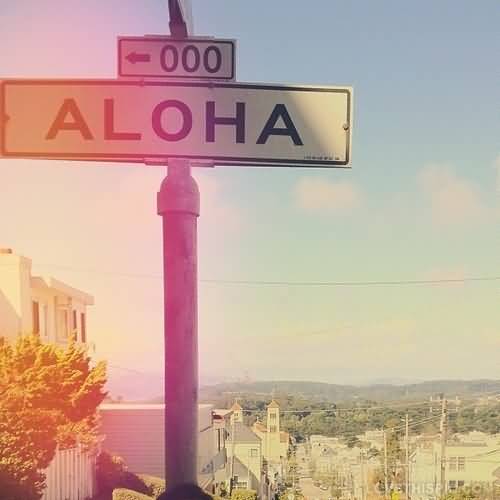 Aloha Street Sign Board Photo