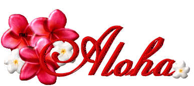 Aloha Text With Hibiscus Flowers Glitter