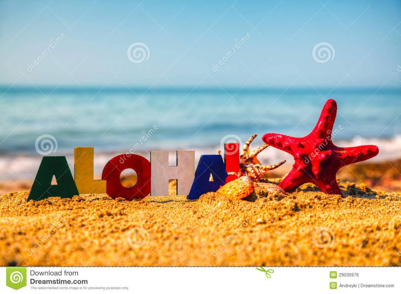 Aloha Wooden Colorful Text With Star Fish On Beach Sand Picture