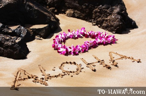 Aloha Written On Beach Sand With Flowers Picture