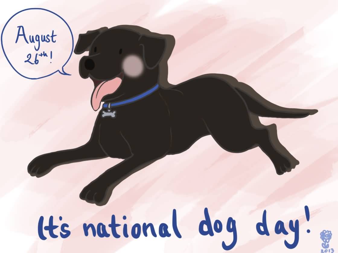 August 26th It's National Dog Day Labrador Retriever Puppy Sitting Picture