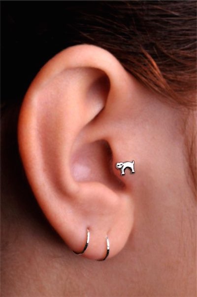 Dual Lobe With Round Rings And Tragus Piercing With Cat Stud