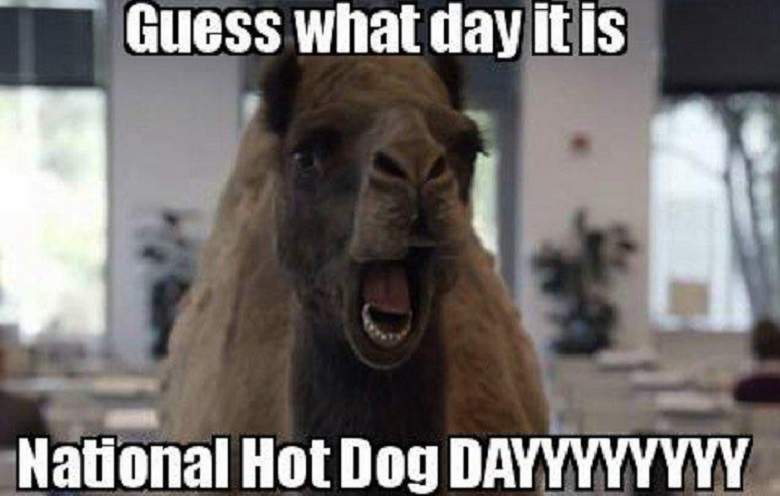 Guess What Day It IS National Hot Dog Day Camel Meme Picture