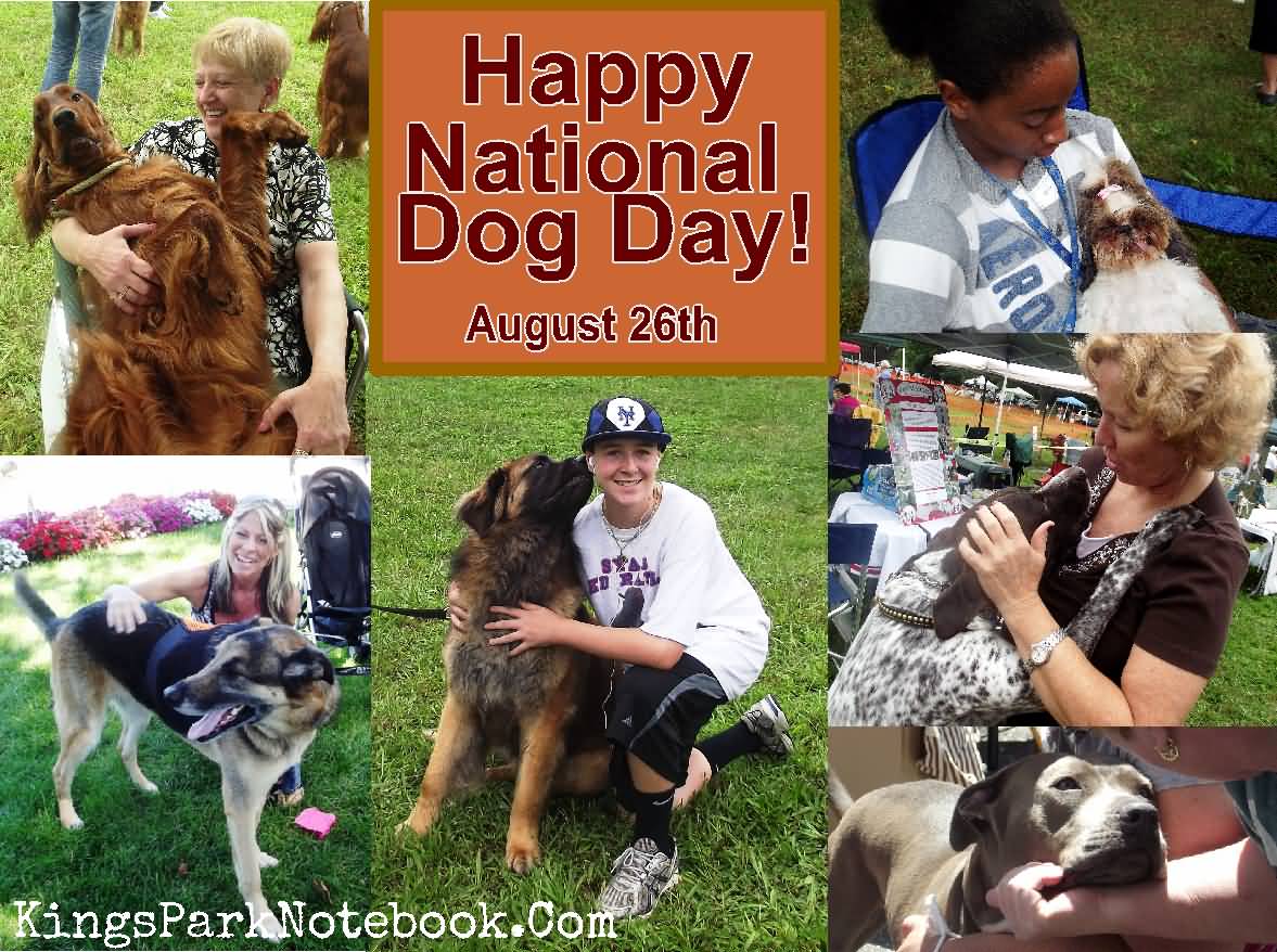Happy National Dog Day August 26th Dogs With Their Owners