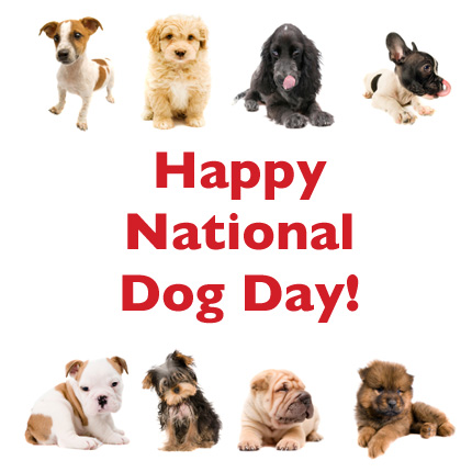 Happy National Dog Day Dog Breeds Picture