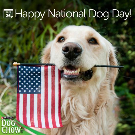 Happy National Dog Day Dog With American Flag Picture
