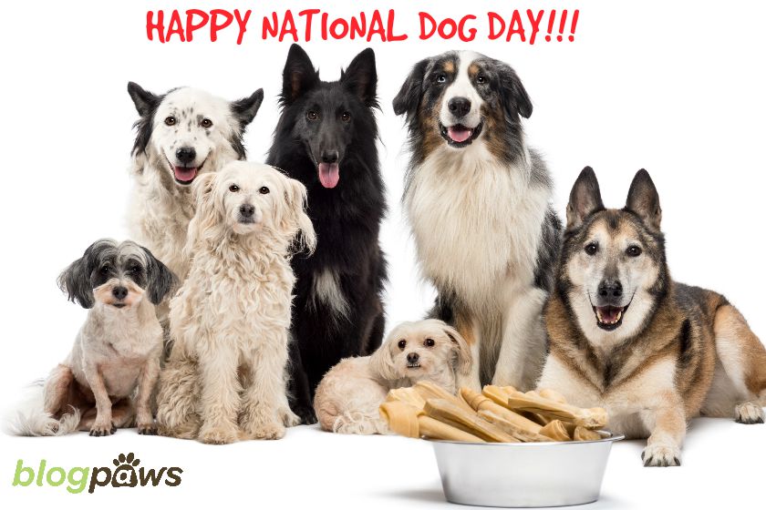 Happy National Dog Day Group Of Dogs Picture