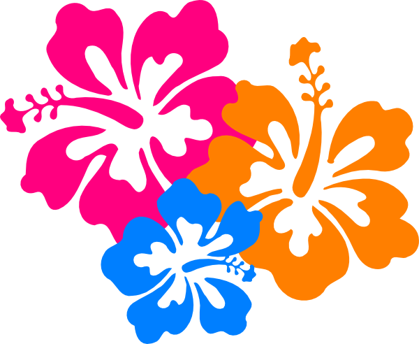 Hibiscus Aloha Flowers