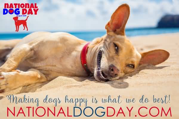 Making Dogs Happy Is What We Do Best National Dog Day