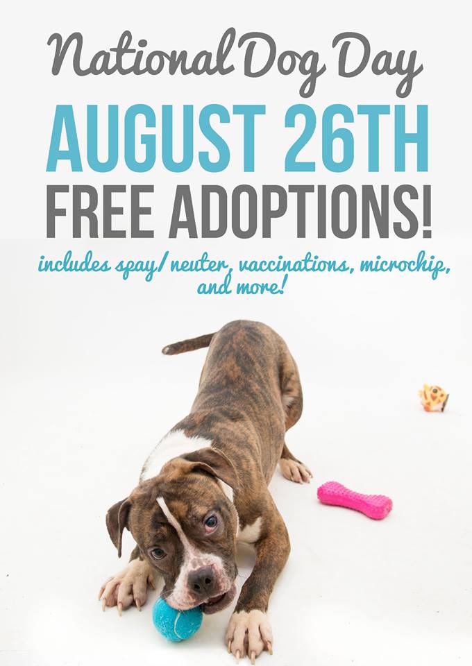National Dog Day August 26th Free Adoptions