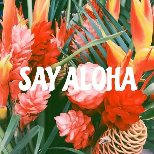 Say Aloha Beautiful Flowers In Background