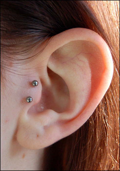 Silver Barbell Surface Tragus Piercing Picture