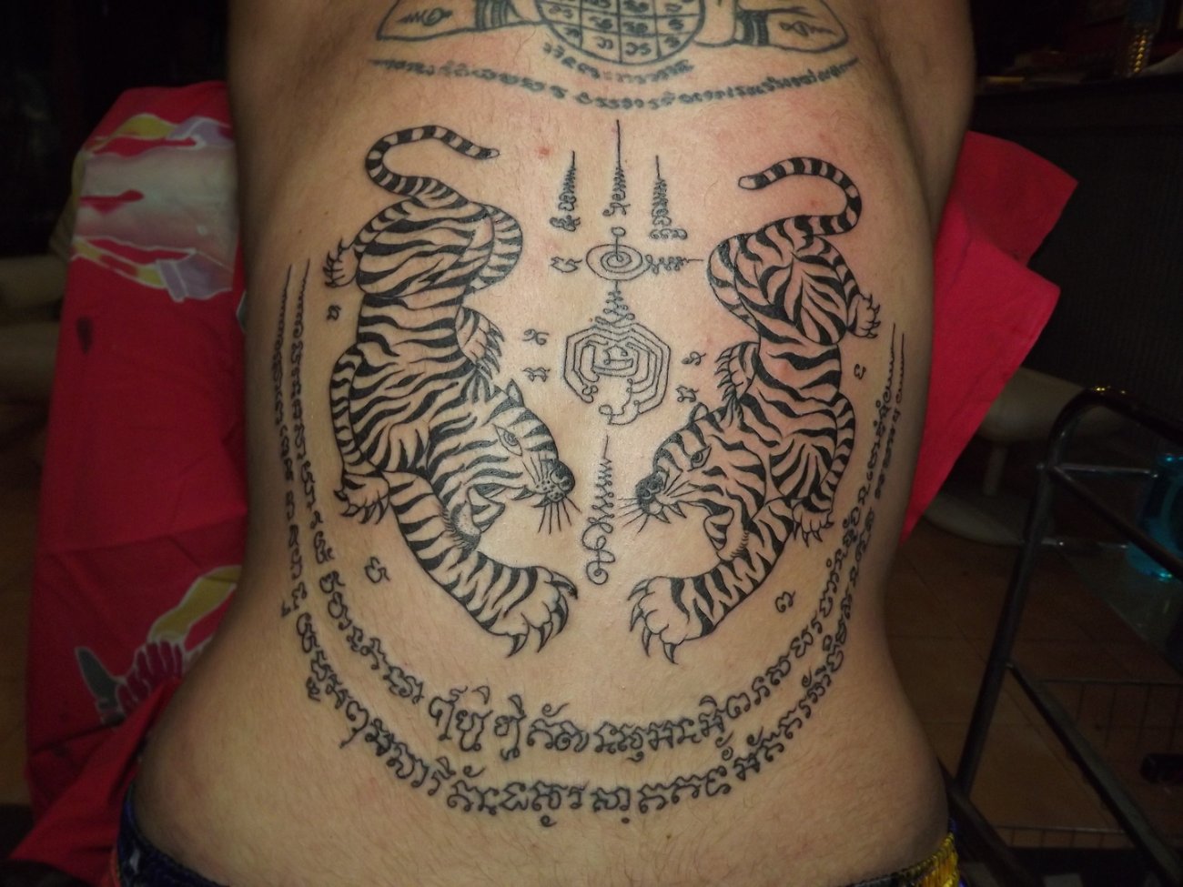 Thai Tigers Symbol Tattoo On Full Back