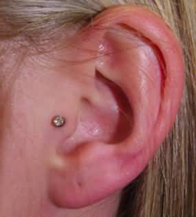 Tragus Piercing Picture For Young Girls