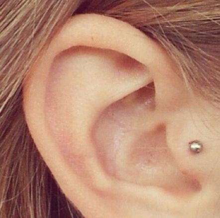 Tragus Piercing Picture With Stud For Girls