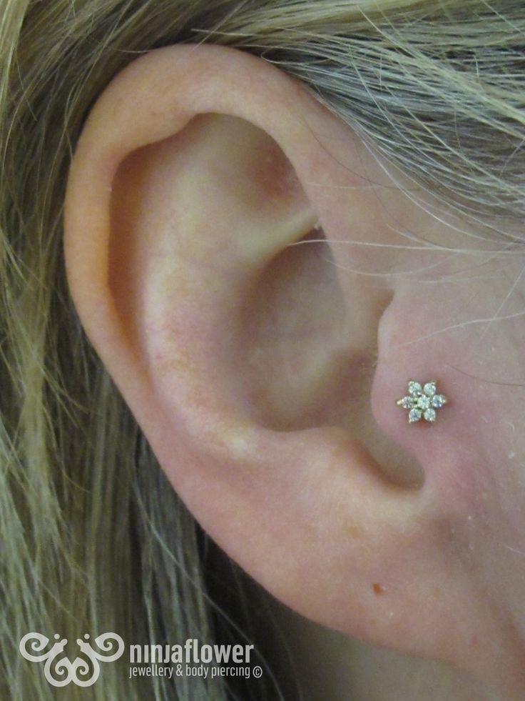 Tragus Piercing With Flower Stud On Girl Right Ear