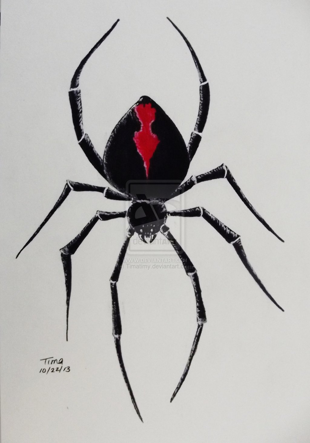 3D Black Widow Spider Tattoo Design By Timatimy
