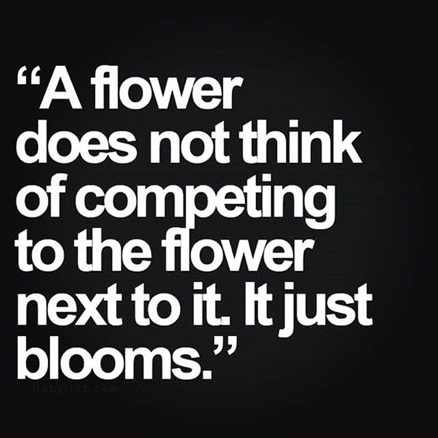 A flower does not think of competing to the flower next to it. It just blooms. - Zen Shin