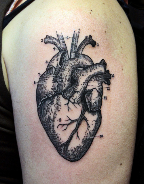 Anatomical Heart Science Tattoo On Half Sleeve