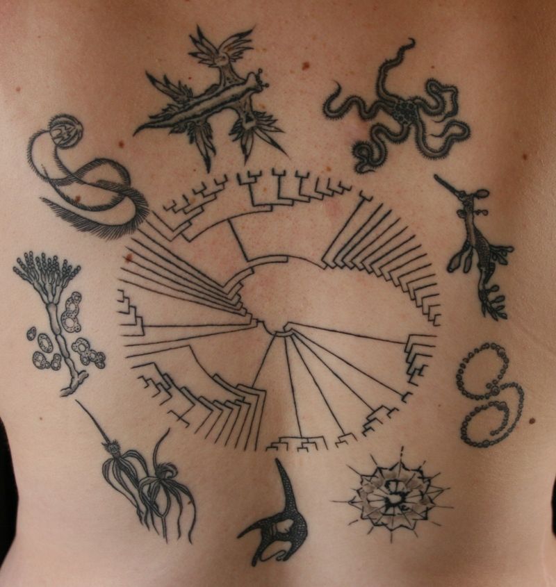 Attractive Grey Science Tattoo On Back