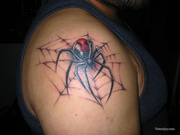 Awesome Black Widow On Spiderweb Theme Tattoo On Right Shoulder