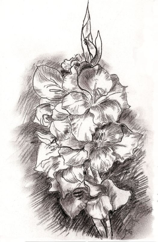 Awful Gladiolus Flowers Tattoo Drawing