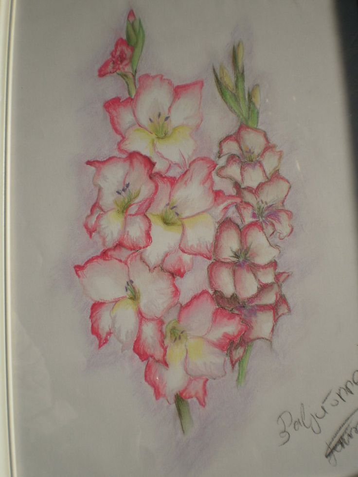 Beautiful Gladiolus Flower Tattoo Design