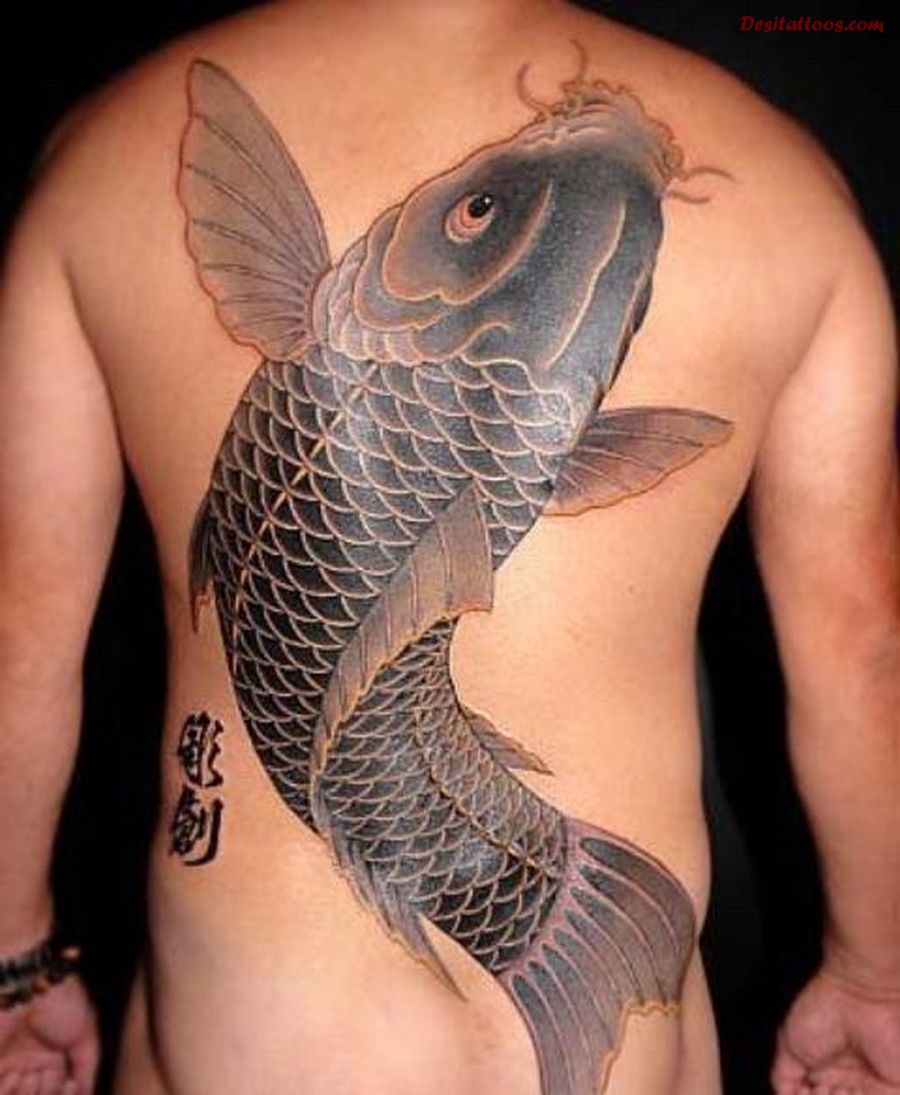 Big Chinese Koi Fish Western Tattoo On Full Back