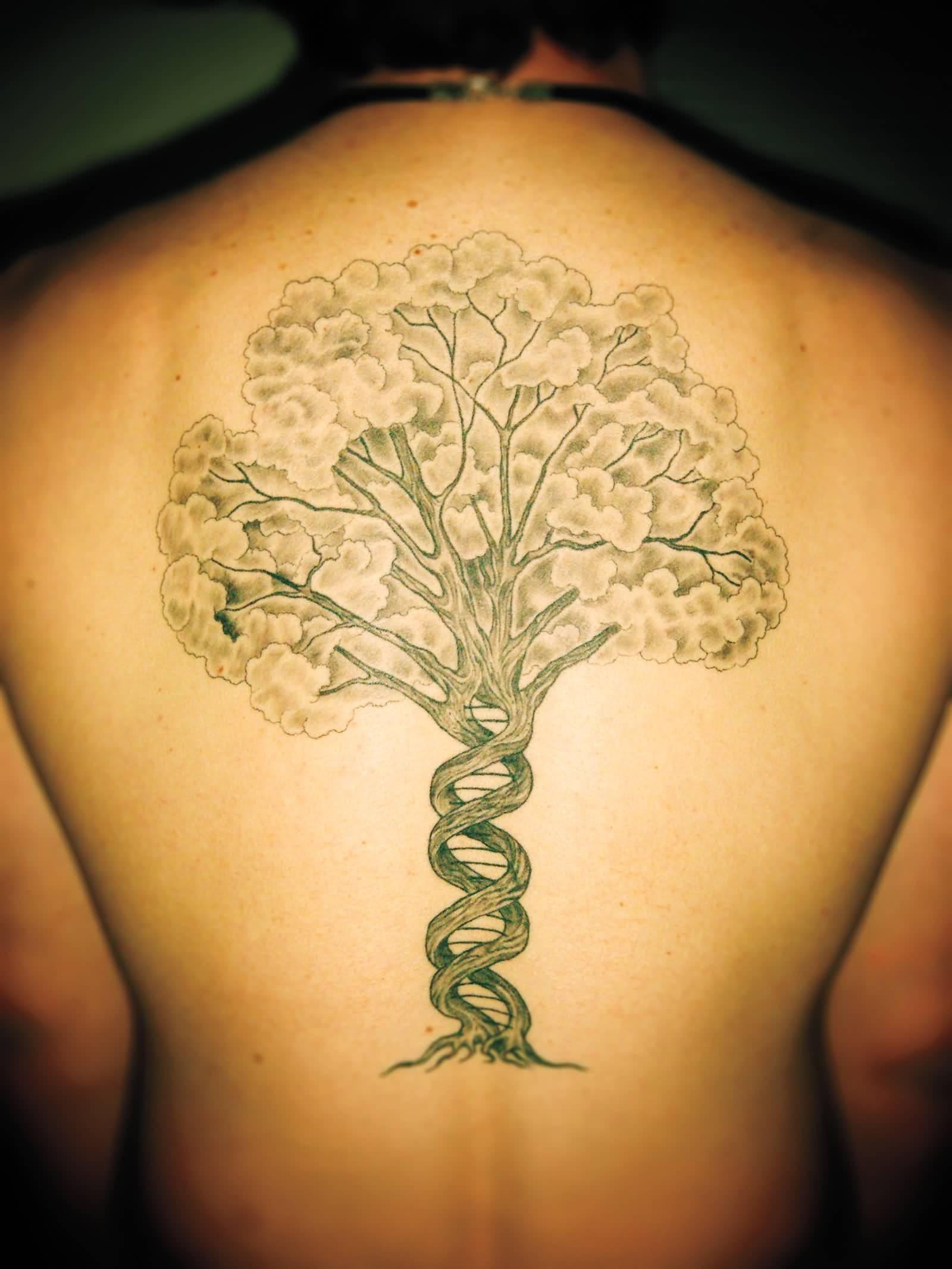 Biology Tree Science Tattoo On Back