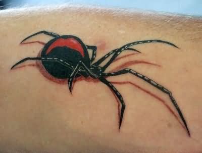 Black Widow Spider Tattoo On Arm
