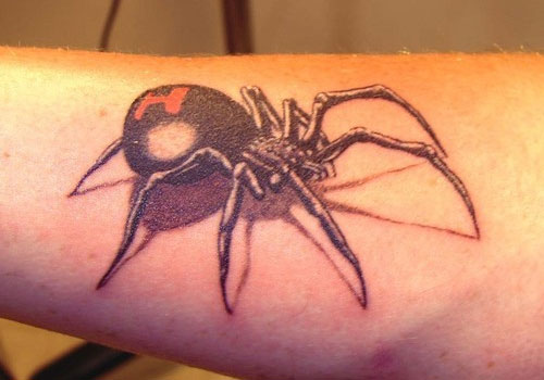 Black Widow Spider Tattoo On Forearm