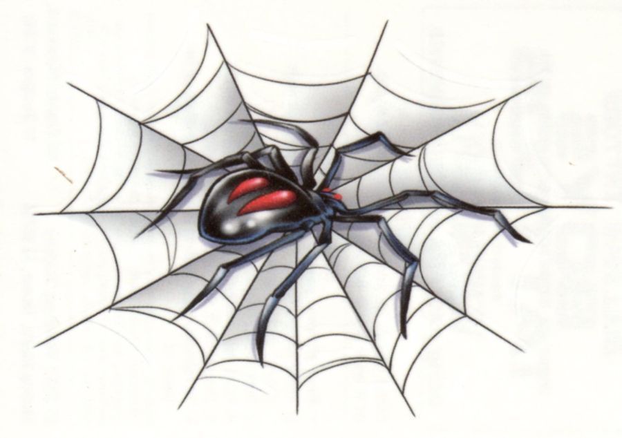 Black Widow Spider Web Temporary Tattoo Design.