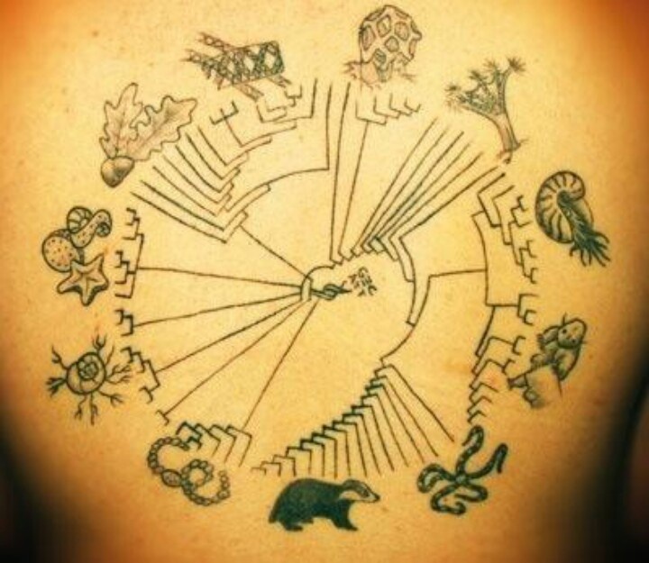 Cladogram Science Tattoo