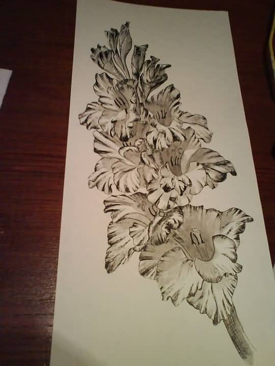 Cool Grey Gladiolus Flowers Tattoo Drawing