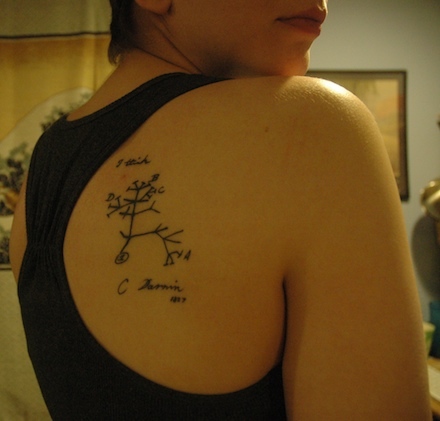 Darwin Tree Of Life Science Tattoo On Right Back Shoulder