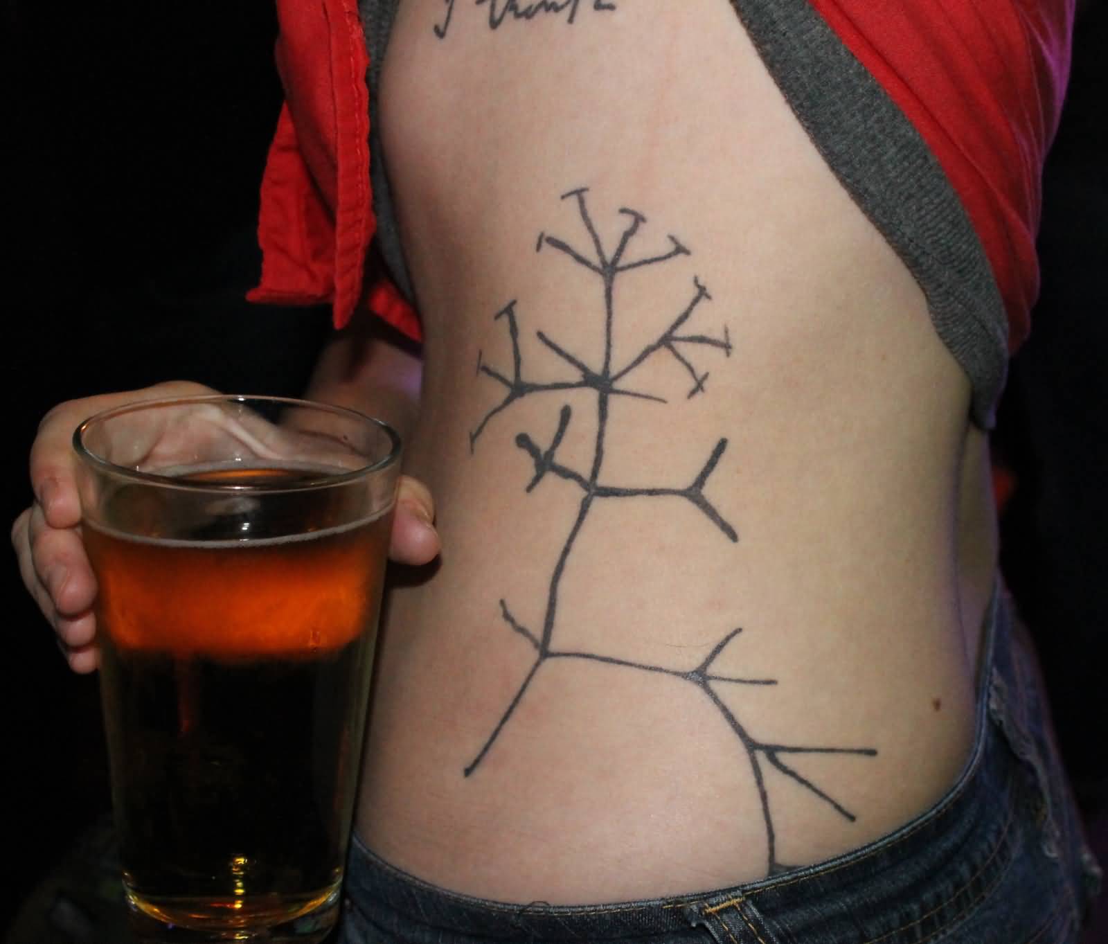Darwin Tree Of Life Science Tattoo On Side Rib For Girls