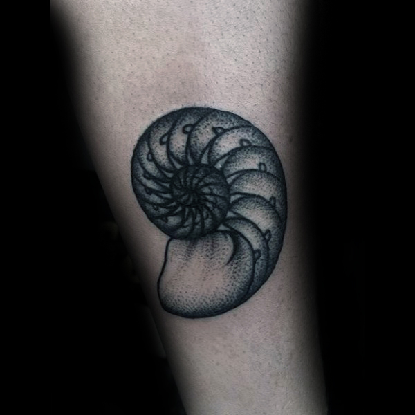 Dotwork Seashell Spiral Tattoo On Arm