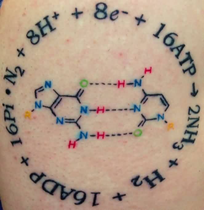 Encircling Equation Of Science Tattoo